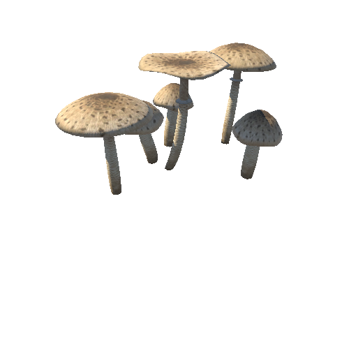 White_hat_mushroom_v2