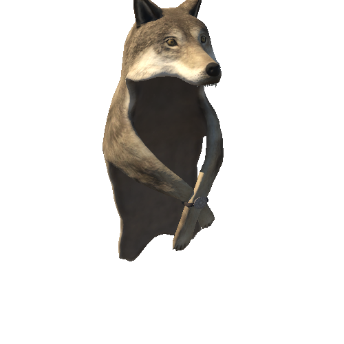 Wolf_cape