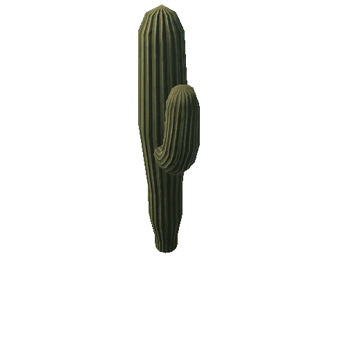 Cactus4_6