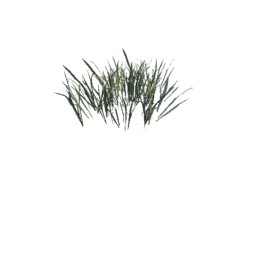 SM_Grass_11