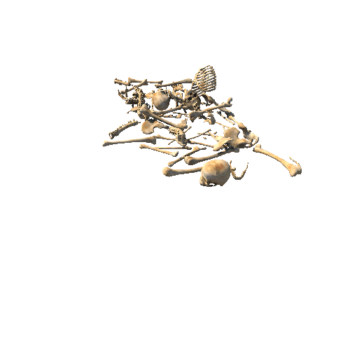 bones_02