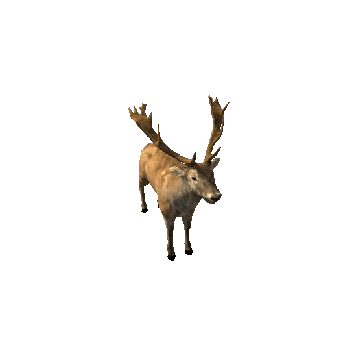 Deer_red_LowPoly_IP