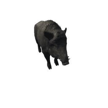 Boar_Male_Highpoly_RM