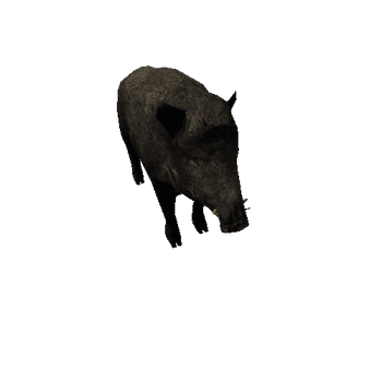 Boar_Male_Lowpoly_IP