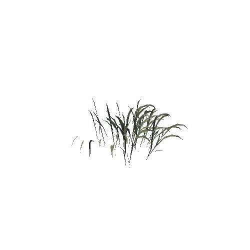 SM_Grass_01