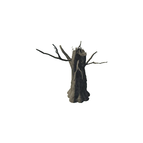 SM_Swamp_Tree_06