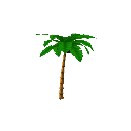 palm_tree