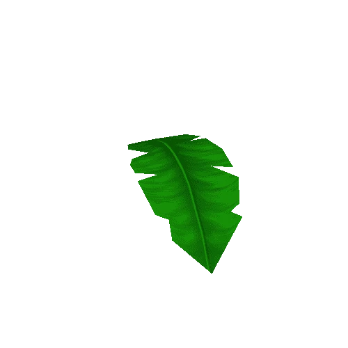 palm_tree_leaf