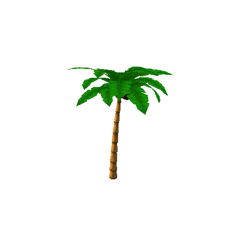 palm_tree_splitted