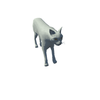 CatModelLowPoly