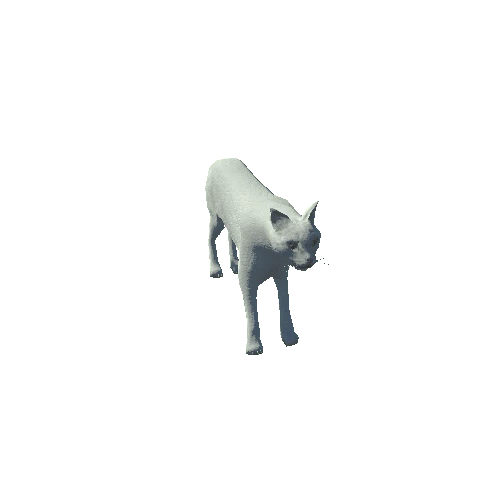 CatModelLowPoly