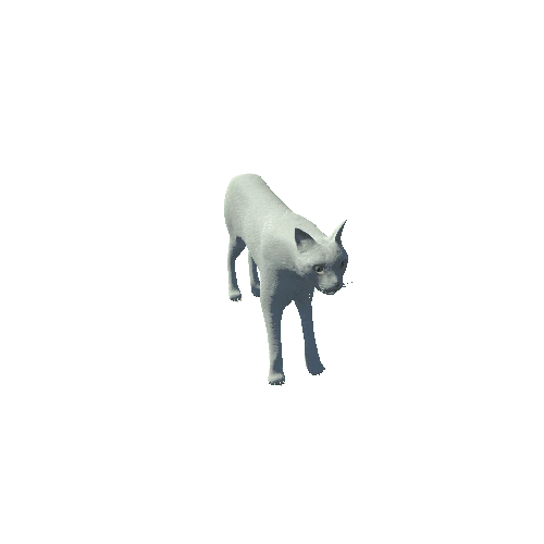 CatModelMiddlePoly