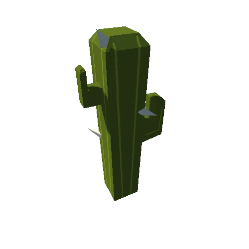 Pref_Cactus