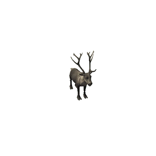 Reindeer_IP_FV_SHP