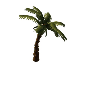 palm_01