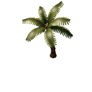 palm_02