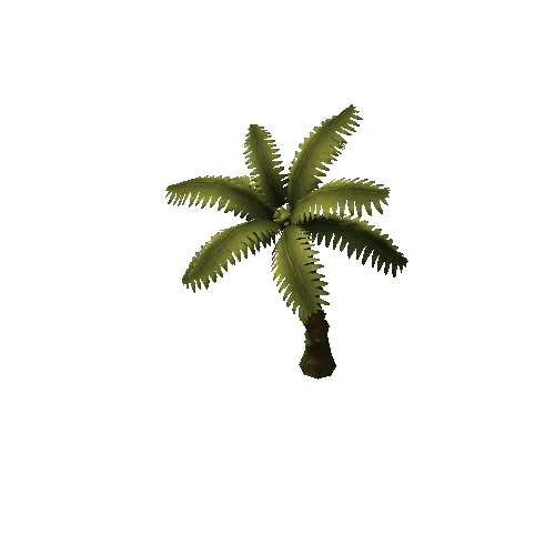 palm_02