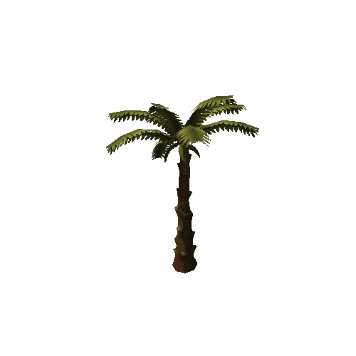 palm_03