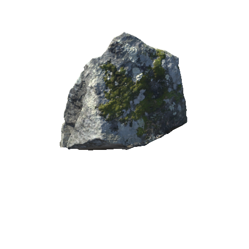 Forest_stone_11