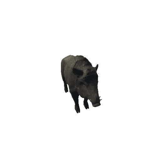 Boar_Male_LODs_IP