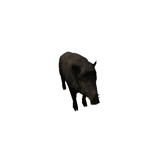 Boar_Male_Lowpoly_RM