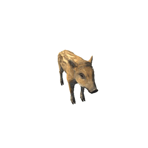 Boar_cub_Highpoly_RM