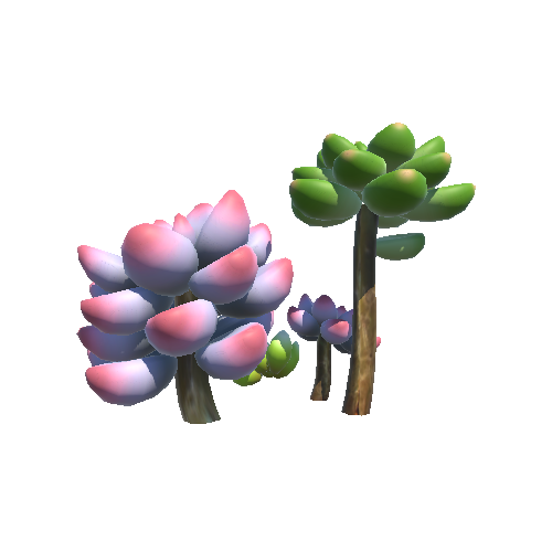Succulent_plant2