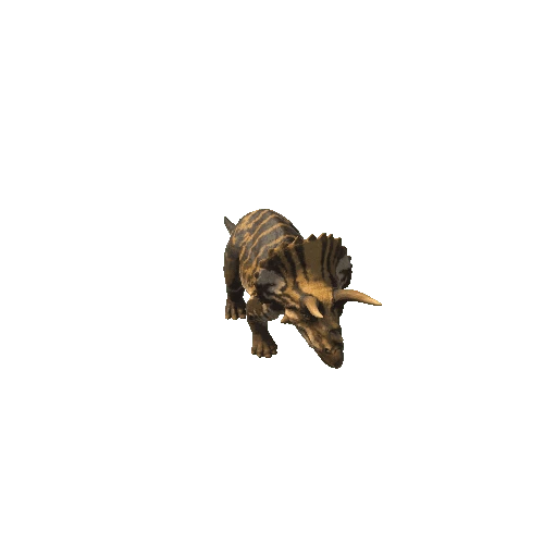 Triceratops2