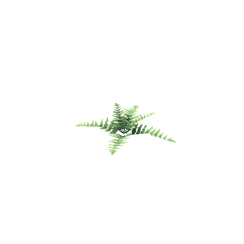 fern_001