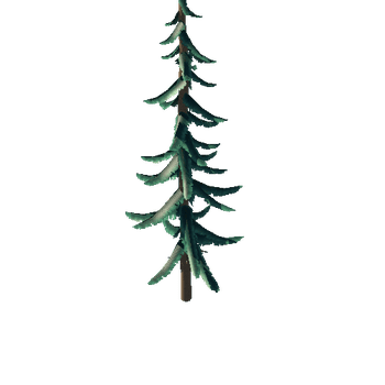 fir_001