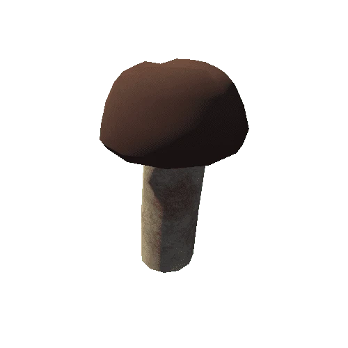 mushroom_06