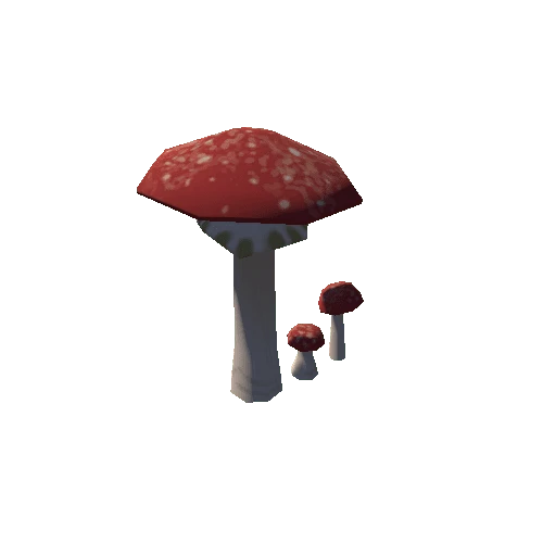 mushroom_07