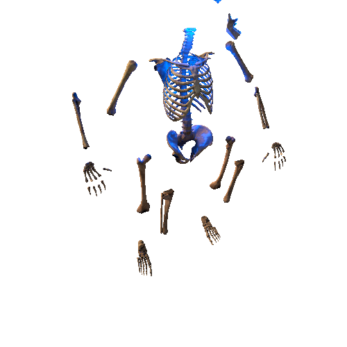 Skeleton-Broken