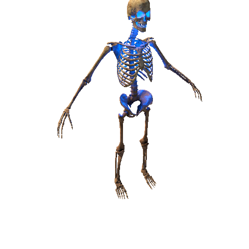 Skeleton-Warrior_1