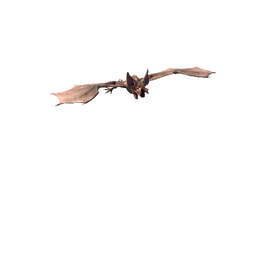 DemonBat_PBR