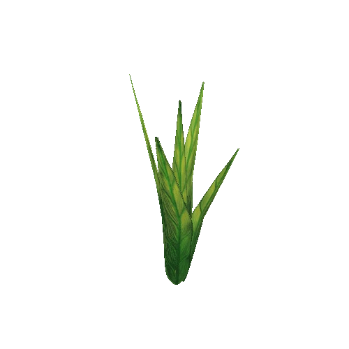 PlantSimple3Grass