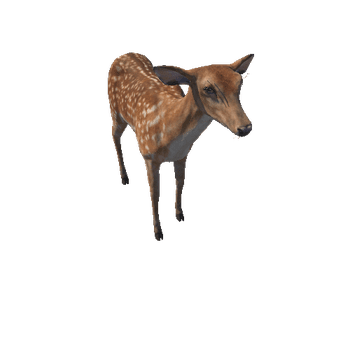 Deer_doe_LODs_RM
