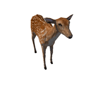 Deer_doe_LowPoly_IP