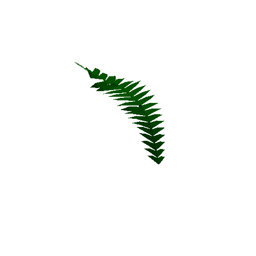 Jungle_fern_leaf