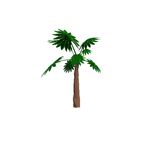 Palm_01