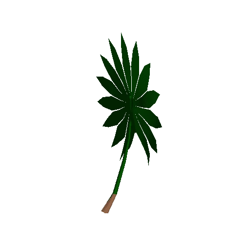 Palm_01_leaf