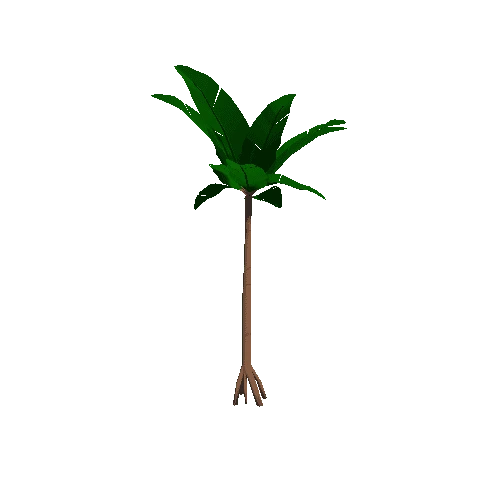 Palm_02