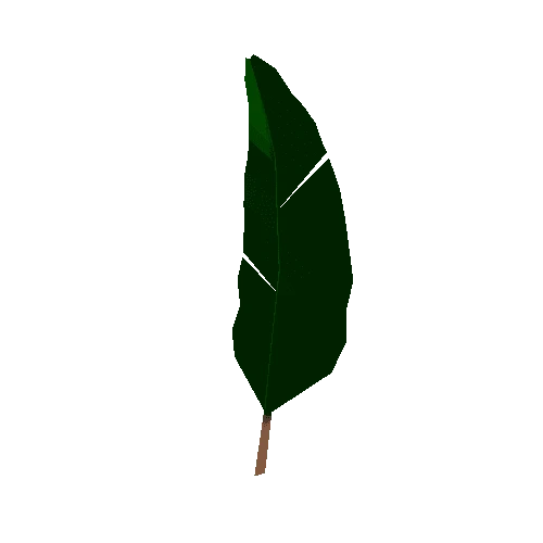 Palm_02_leaf