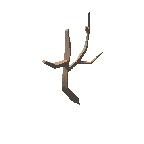 branch02_m