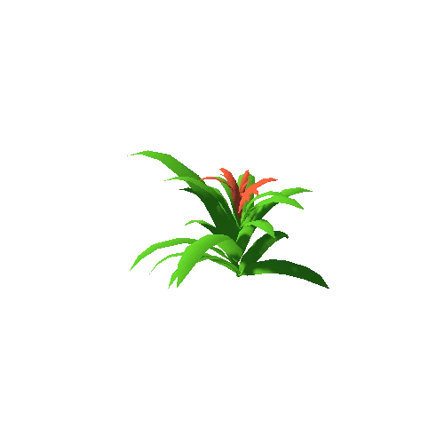 bromelia01_m