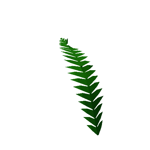 jungle_fern_leaf_m