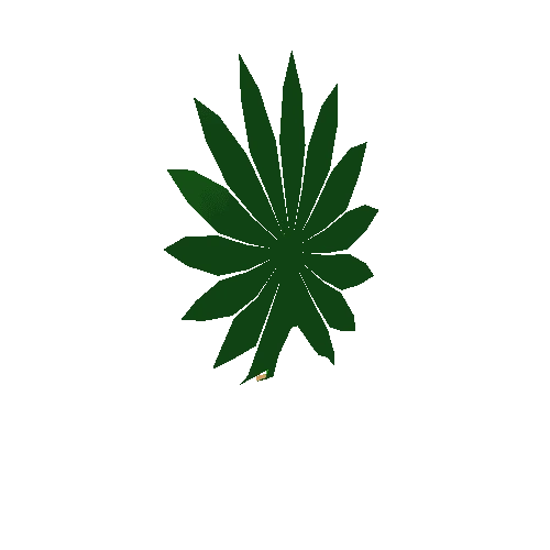 palm01_leaf_m