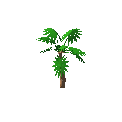 palm01_m