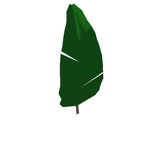 palm02_leaf_m