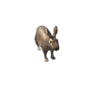 RabbitLowPoly